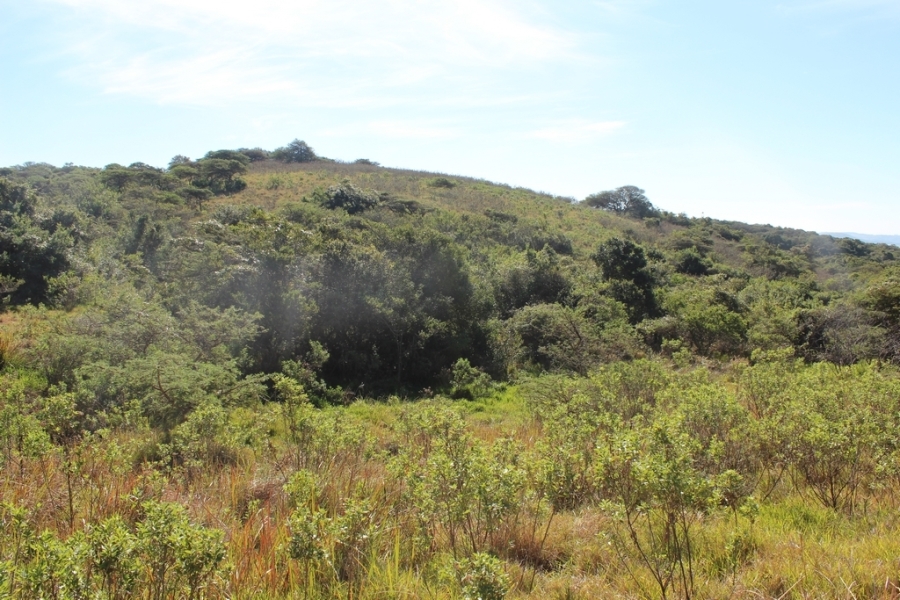 0 Bedroom Property for Sale in Khamanga Bay Eastern Cape
